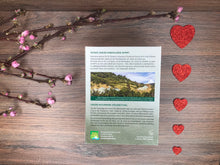 Lade das Bild in den Galerie-Viewer, Grüne Mineralerde (natürlich sonnengetrocknet), Tonerde - 300g, extrafein, Phytopharma